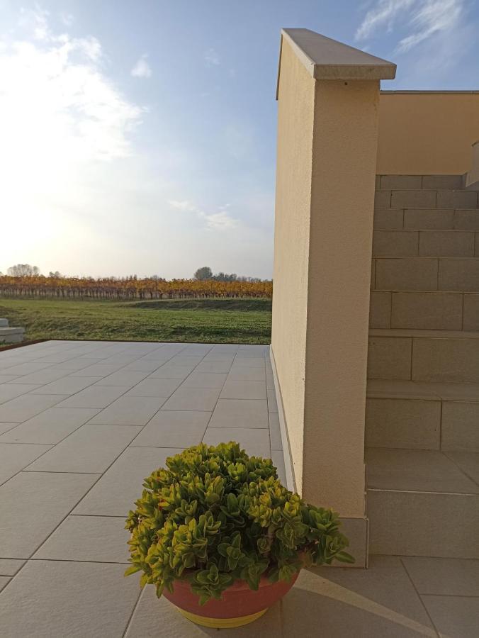 Sant'Antonio  B&B Bianchin Via Trieste 67 Fiumicello-Villa Vicentina מראה חיצוני תמונה